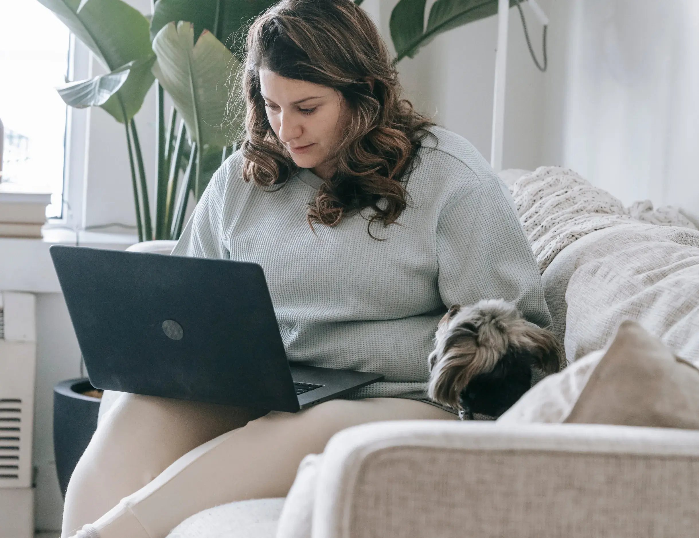 Looking-for-houses-online