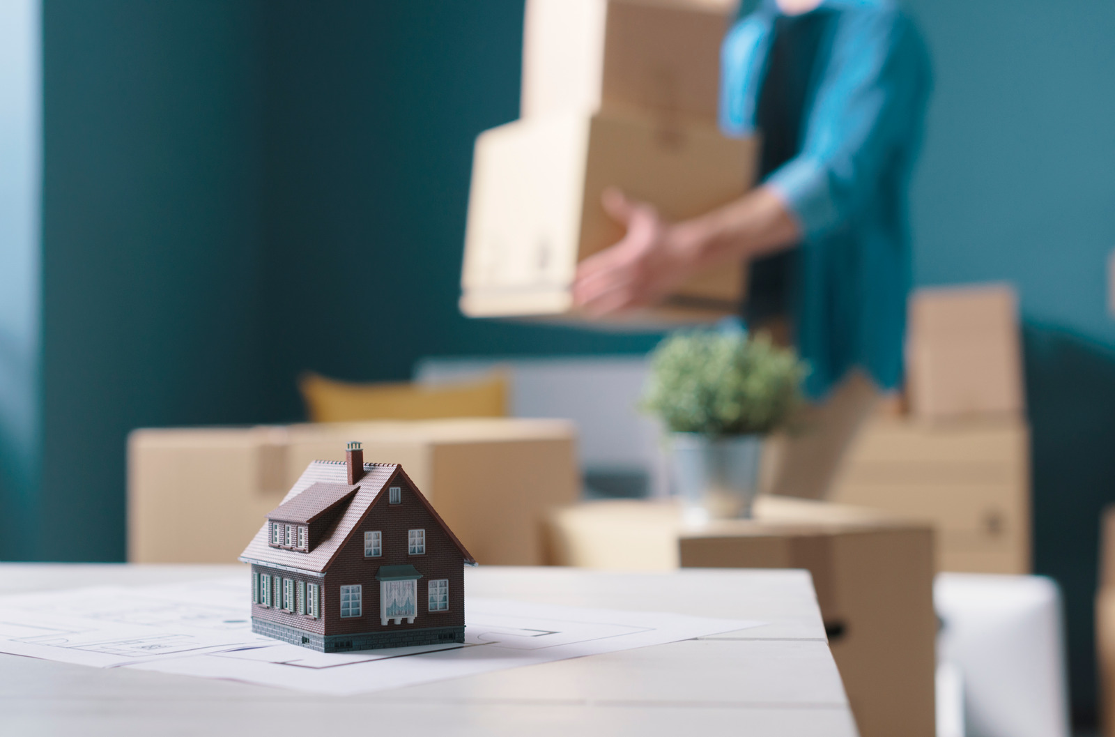 The Ultimate Property Dilemma: Should You Renovate or Relocate?